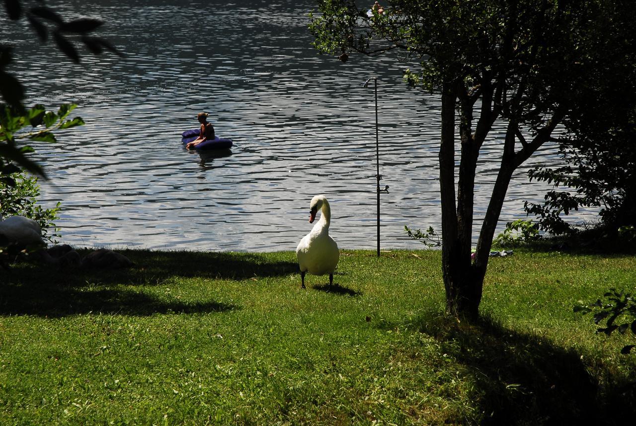 Camping Neubauer - Mobilheime Millstatt am See Zewnętrze zdjęcie